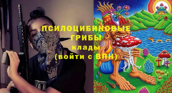 стаф Белокуриха